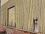 fish-coop-taree 004